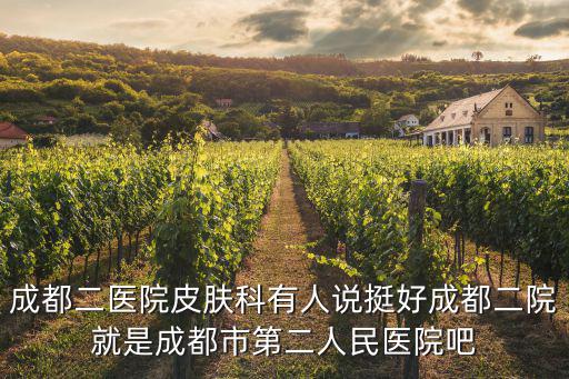成都二醫院皮膚科有人說挺好成都二院就是成都市第二人民醫院吧