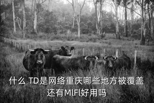 什么 TD是網絡重慶哪些地方被覆蓋還有MlFl好用嗎