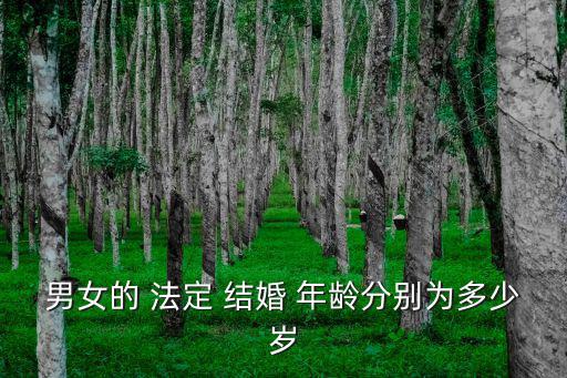 男女的 法定 結(jié)婚 年齡分別為多少歲