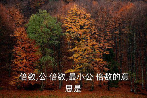  倍數,公 倍數,最小公 倍數的意思是
