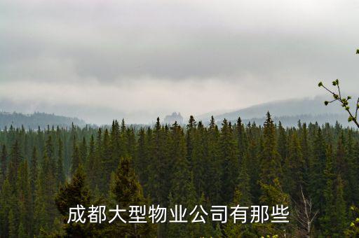 成都市青港物業管理公司，成都大型物業公司有那些