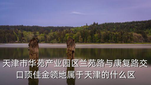 天津市華苑產(chǎn)業(yè)園區(qū)蘭苑路與康復(fù)路交口頂佳金領(lǐng)地屬于天津的什么區(qū)
