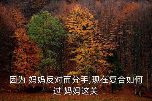 因為 媽媽反對而分手,現在復合如何過 媽媽這關