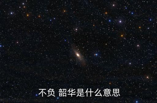  不負 韶華是什么意思