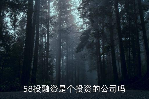 58投融資是個投資的公司嗎