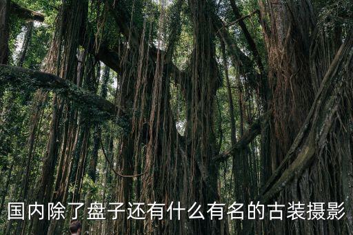 國內除了盤子還有什么有名的古裝攝影