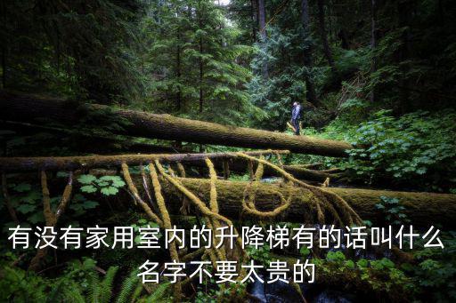 有沒有家用室內(nèi)的升降梯有的話叫什么名字不要太貴的