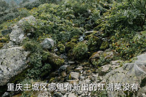 重慶主城區(qū)哪里有新出的江湖菜沒有