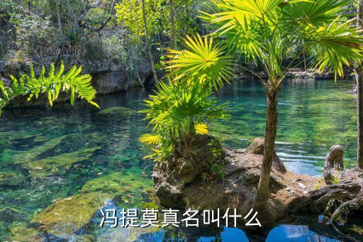 重慶市萬州區(qū)的女歌手，馮提莫真名叫什么