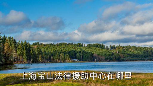 上海市總工會法律援助平臺官網，上海法律援助中心
