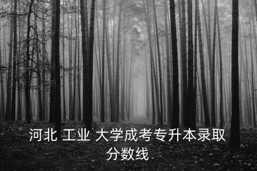  河北 工業 大學成考專升本錄取 分數線