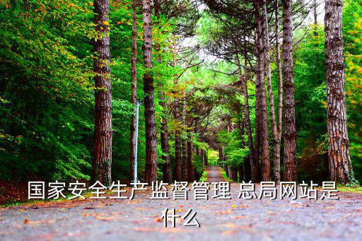  國家安全生產監督管理 總局網站是什么