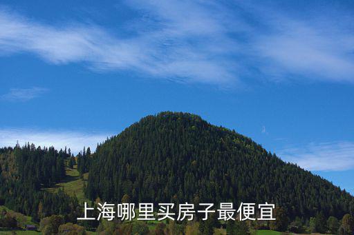 上海哪里買房子最便宜