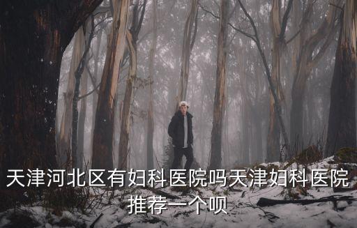 天津河北區(qū)有婦科醫(yī)院嗎天津婦科醫(yī)院推薦一個唄