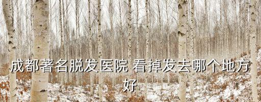 成都著名脫發(fā)醫(yī)院 看掉發(fā)去哪個(gè)地方好