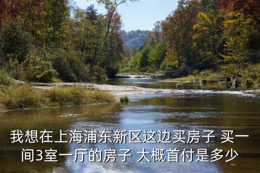 我想在上海浦東新區(qū)這邊買房子 買一間3室一廳的房子 大概首付是多少