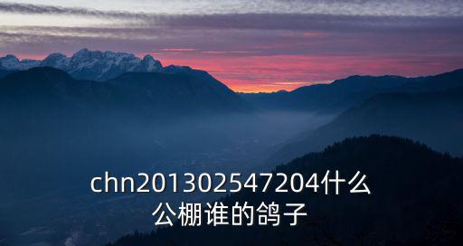 chn201302547204什么公棚誰的鴿子