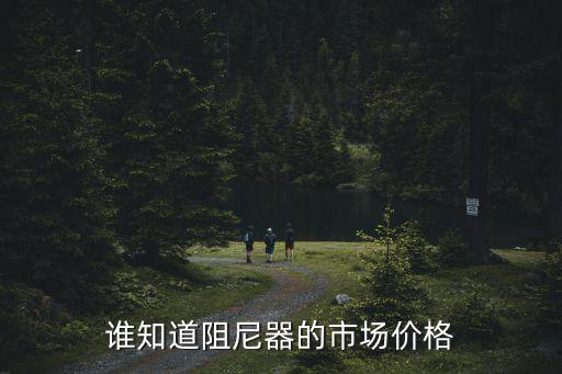 誰知道阻尼器的市場價格