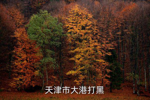 天津市打黑電影，2011年1月22日天津公共頻道經典重溫演的是什么電影