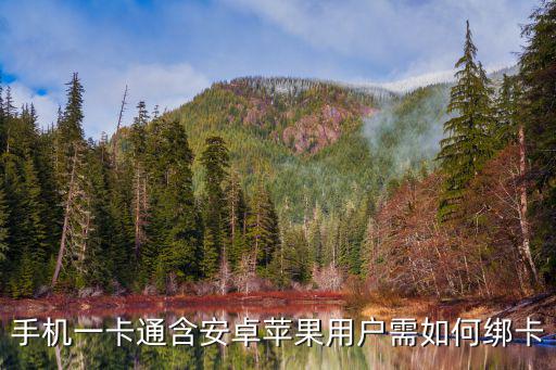 手機一卡通含安卓蘋果用戶需如何綁卡
