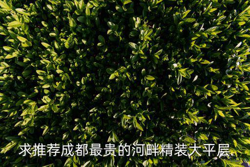 求推薦成都最貴的河畔精裝大平層