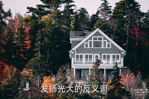 發揚光大的意思，用兩個字可以代替發揚光大