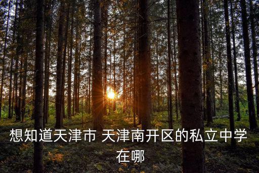 想知道天津市 天津南開區(qū)的私立中學 在哪