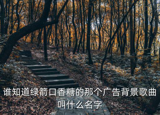 誰(shuí)知道綠箭口香糖的那個(gè)廣告背景歌曲叫什么名字