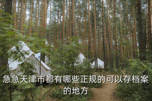 急急天津市都有哪些正規的可以存檔案的地方