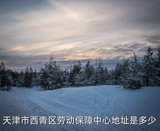 天津市西青區(qū)勞動保障中心地址是多少