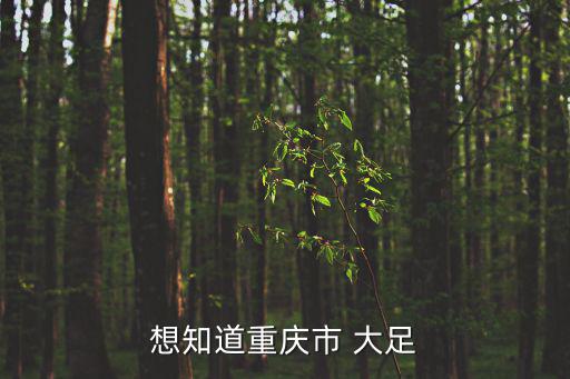 想知道重慶市 大足
