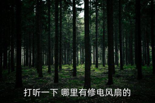 打聽一下 哪里有修電風扇的