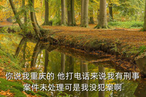 你說我重慶的 他打電話來說我有刑事案件未處理可是我沒犯案啊