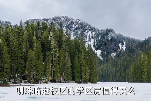明珠臨港校區(qū)的學(xué)區(qū)房值得買么