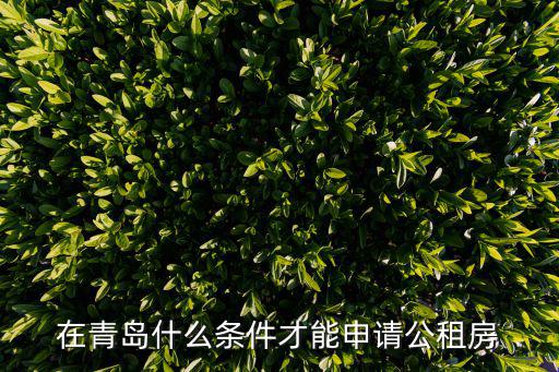 在青島什么條件才能申請公租房