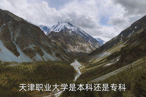 天津職業(yè)大學(xué)是本科還是專科