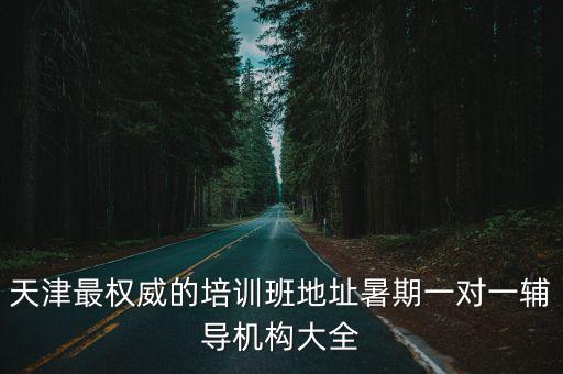 天津最權(quán)威的培訓(xùn)班地址暑期一對(duì)一輔導(dǎo)機(jī)構(gòu)大全