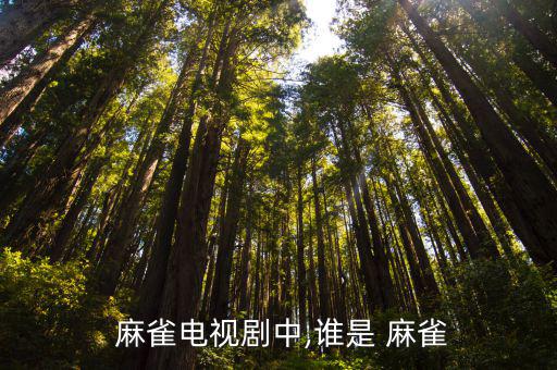 麻雀劇情介紹,李易峰飾演麻雀是誰?