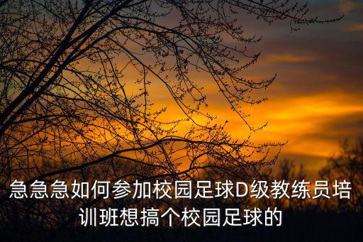 成都市足球興趣班，最近哪個城市有校園足球教練培訓班