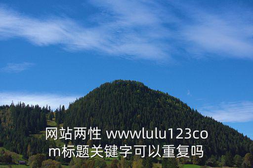 網站兩性 wwwlulu123com標題關鍵字可以重復嗎