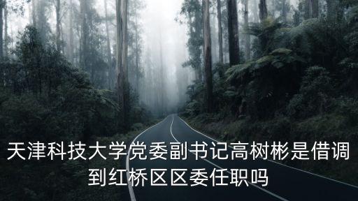 天津科技大學黨委副書記高樹彬是借調到紅橋區區委任職嗎