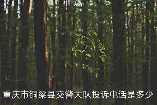 重慶市銅梁縣交警大隊投訴電話是多少