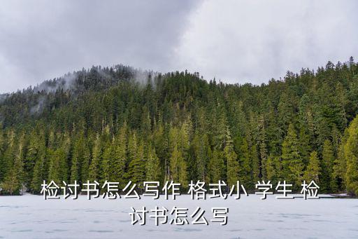  檢討書怎么寫作 格式小 學(xué)生 檢討書怎么寫