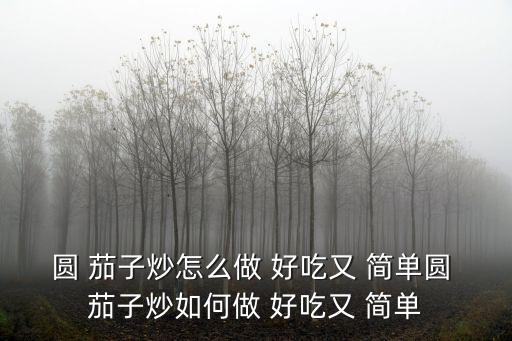 圓 茄子炒怎么做 好吃又 簡單圓 茄子炒如何做 好吃又 簡單