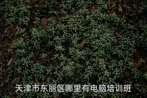 天津市東麗編程培訓(xùn)，天津哪里有計算機(jī)編程的培訓(xùn)學(xué)校