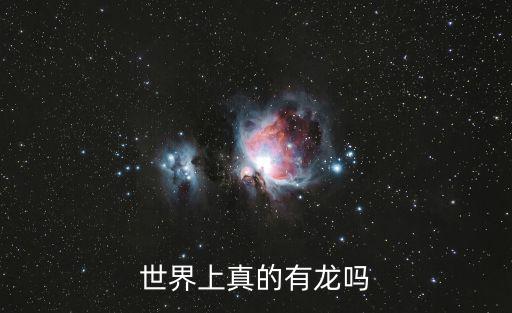 世界上真的有龍嗎
