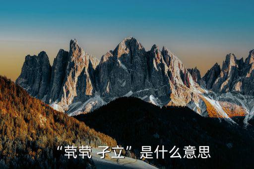 “煢煢 孑立”是什么意思
