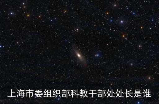 上海市委組織部科教干部處處長是誰