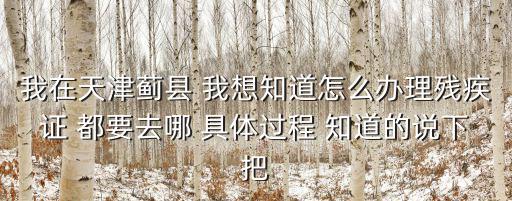 我在天津薊縣 我想知道怎么辦理殘疾證 都要去哪 具體過(guò)程 知道的說(shuō)下把