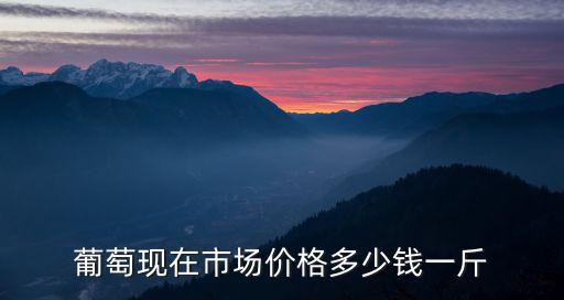 葡萄現(xiàn)在市場(chǎng)價(jià)格多少錢一斤